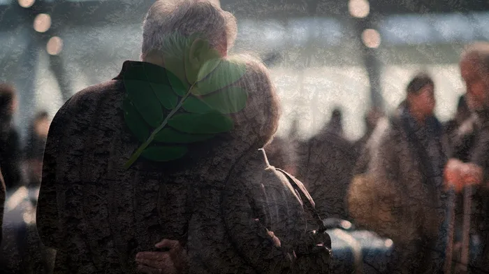 개인회생 기각률 낮고