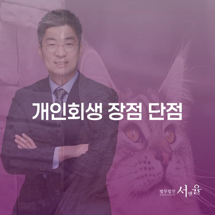 개인회생 신청의 장단점과 절차